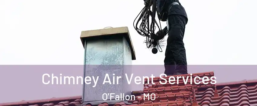  Chimney Air Vent Services O'Fallon - MO