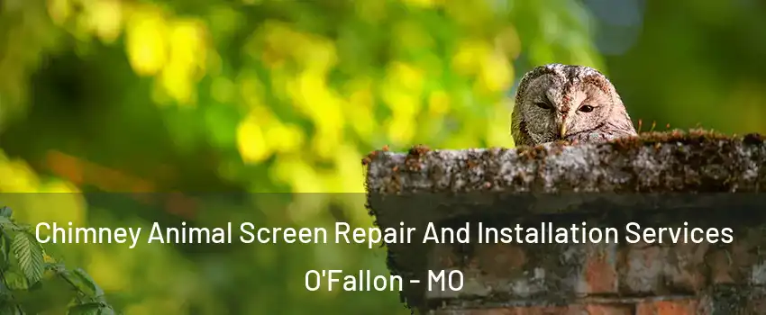  Chimney Animal Screen Repair And Installation Services O'Fallon - MO