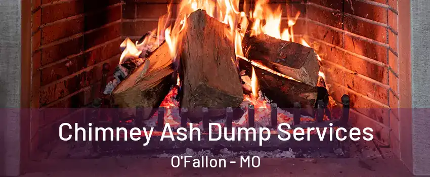  Chimney Ash Dump Services O'Fallon - MO