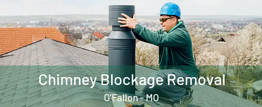  Chimney Blockage Removal O'Fallon - MO