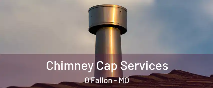  Chimney Cap Services O'Fallon - MO