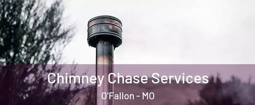  Chimney Chase Services O'Fallon - MO