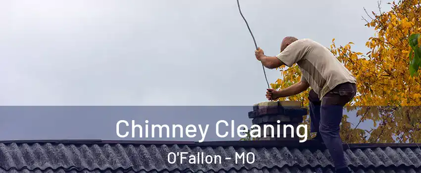  Chimney Cleaning O'Fallon - MO