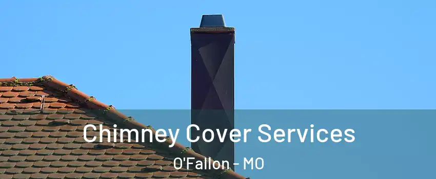 Chimney Cover Services O'Fallon - MO