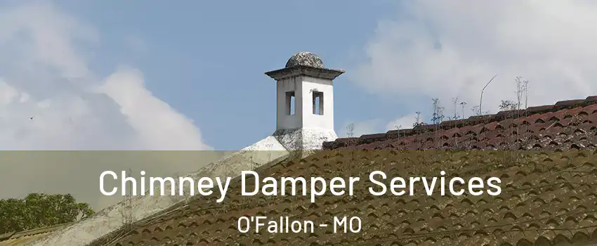  Chimney Damper Services O'Fallon - MO
