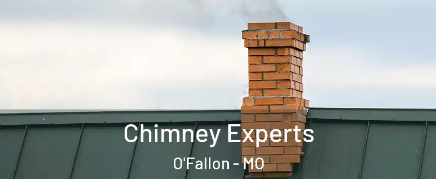  Chimney Experts O'Fallon - MO