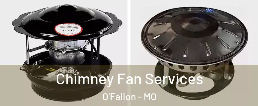  Chimney Fan Services O'Fallon - MO