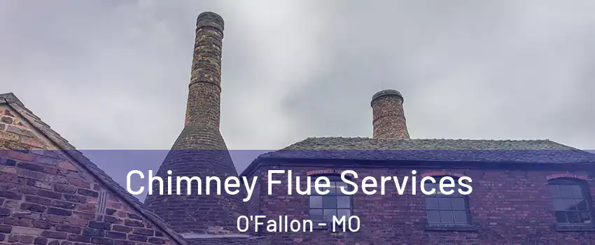  Chimney Flue Services O'Fallon - MO