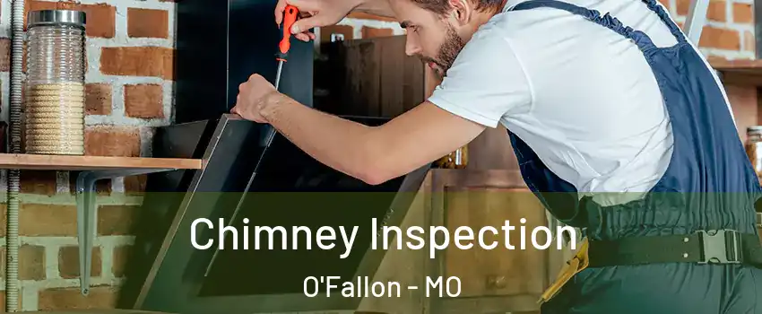  Chimney Inspection O'Fallon - MO