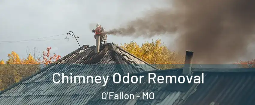  Chimney Odor Removal O'Fallon - MO