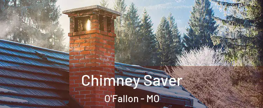 Chimney Saver O'Fallon - MO