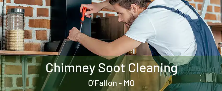  Chimney Soot Cleaning O'Fallon - MO