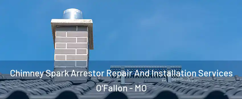  Chimney Spark Arrestor Repair And Installation Services O'Fallon - MO