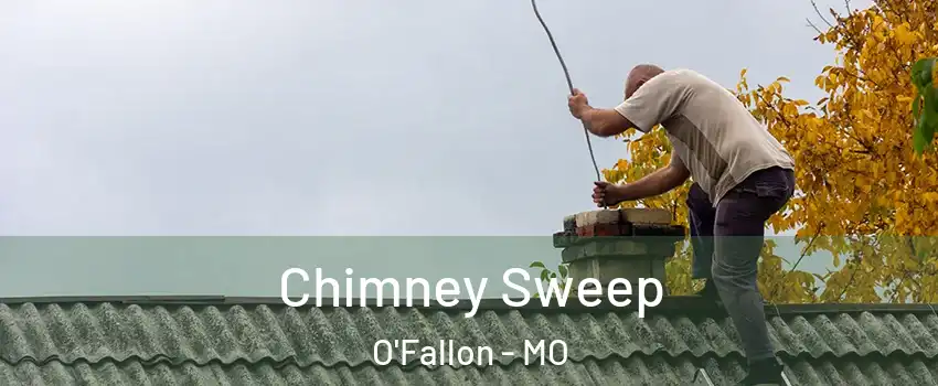  Chimney Sweep O'Fallon - MO