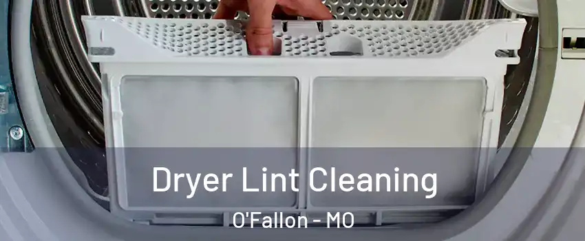  Dryer Lint Cleaning O'Fallon - MO