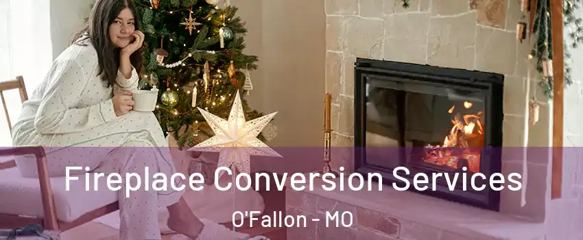  Fireplace Conversion Services O'Fallon - MO
