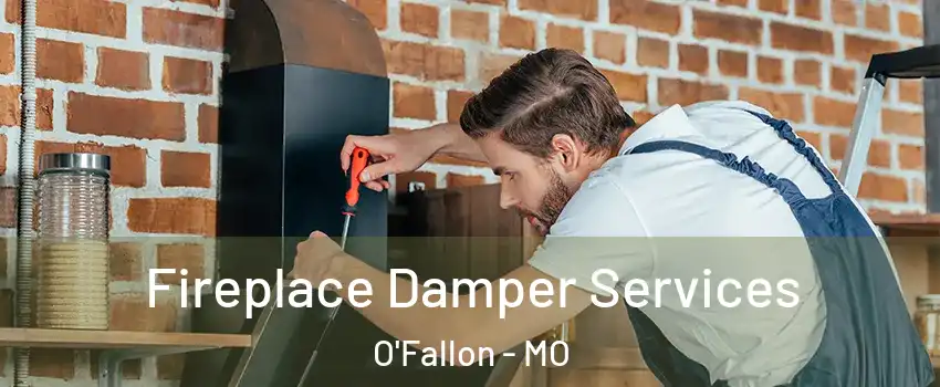  Fireplace Damper Services O'Fallon - MO