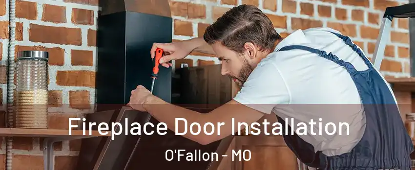 Fireplace Door Installation O'Fallon - MO