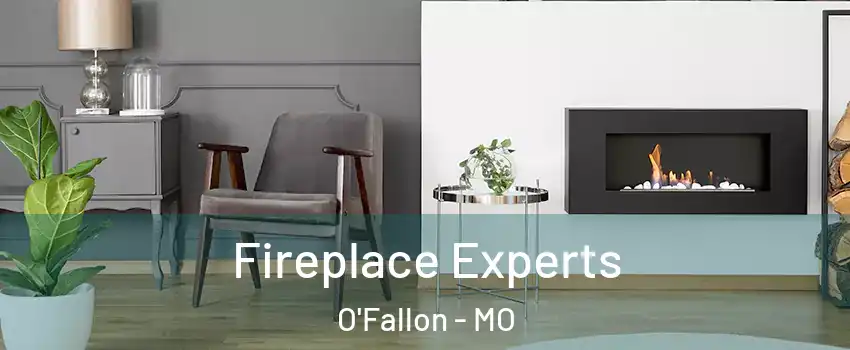  Fireplace Experts O'Fallon - MO