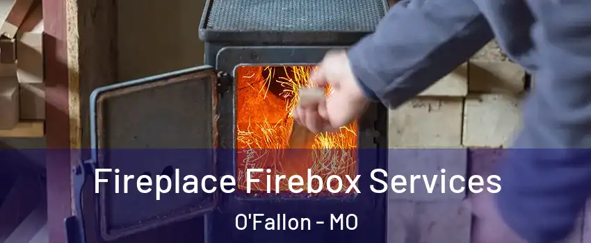  Fireplace Firebox Services O'Fallon - MO