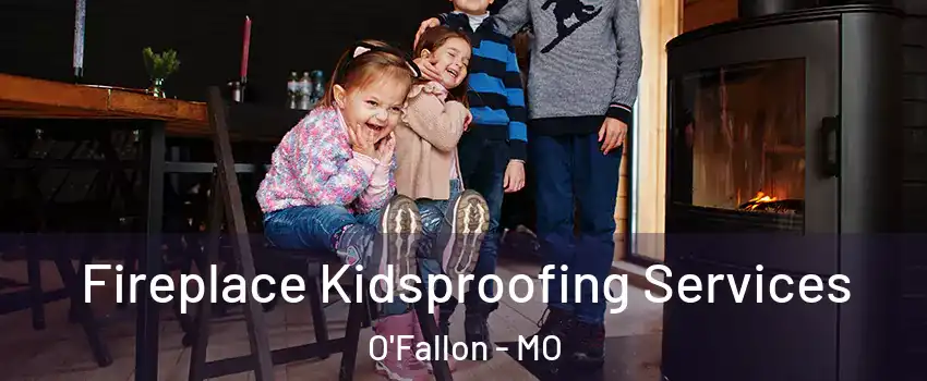  Fireplace Kidsproofing Services O'Fallon - MO