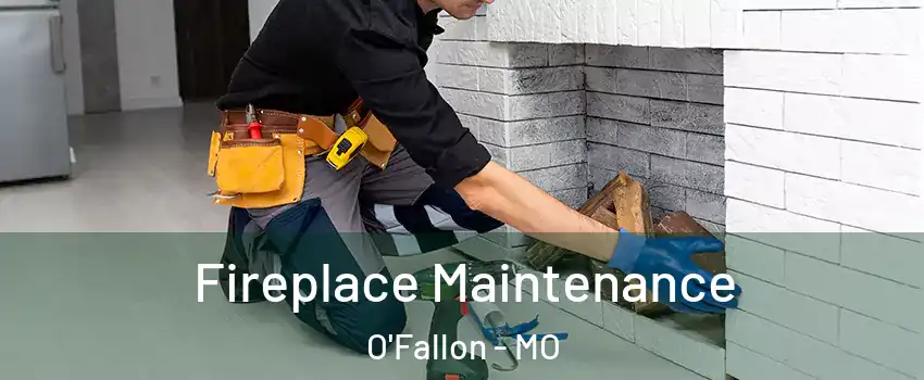 Fireplace Maintenance O'Fallon - MO