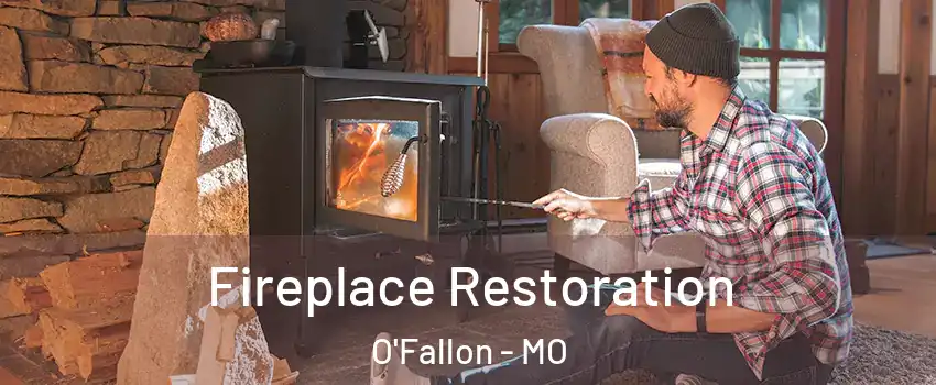  Fireplace Restoration O'Fallon - MO