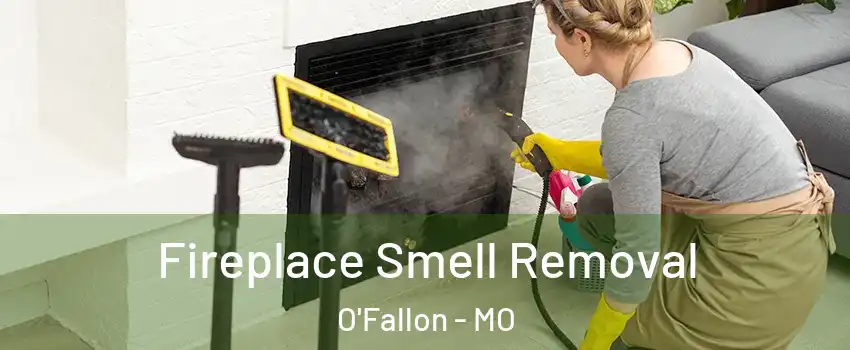  Fireplace Smell Removal O'Fallon - MO
