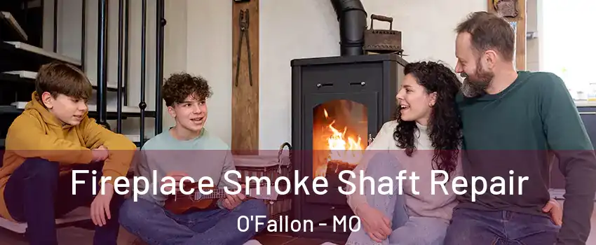  Fireplace Smoke Shaft Repair O'Fallon - MO