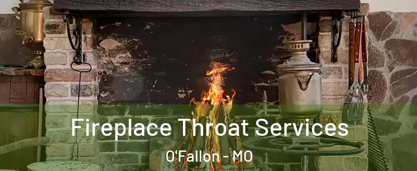  Fireplace Throat Services O'Fallon - MO