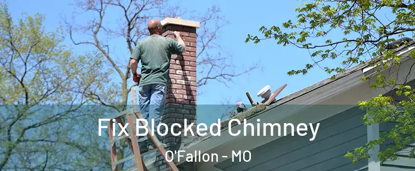  Fix Blocked Chimney O'Fallon - MO