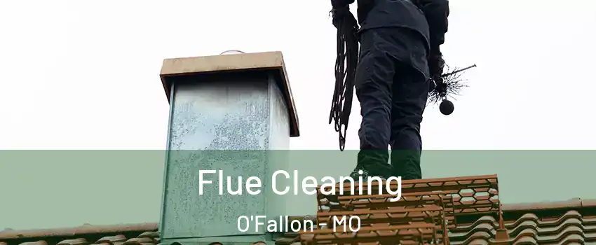  Flue Cleaning O'Fallon - MO