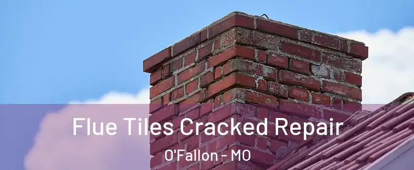  Flue Tiles Cracked Repair O'Fallon - MO