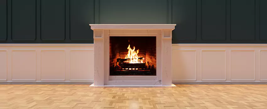 Napoleon Electric Fireplaces Inspection Service in O'Fallon, Missouri