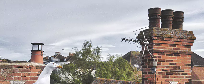 Chimney Cleaning And Restoration in O'Fallon, Missouri