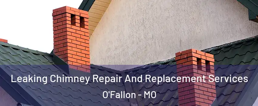  Leaking Chimney Repair And Replacement Services O'Fallon - MO