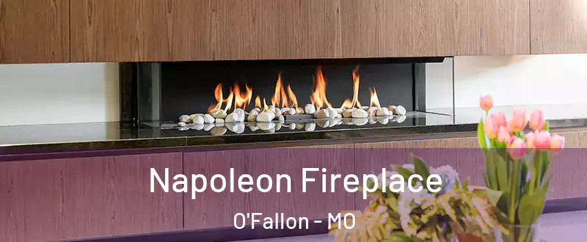 Napoleon Fireplace O'Fallon - MO