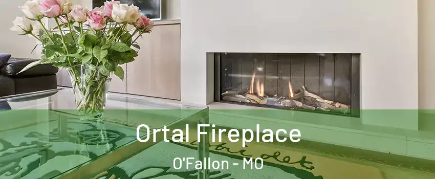  Ortal Fireplace O'Fallon - MO