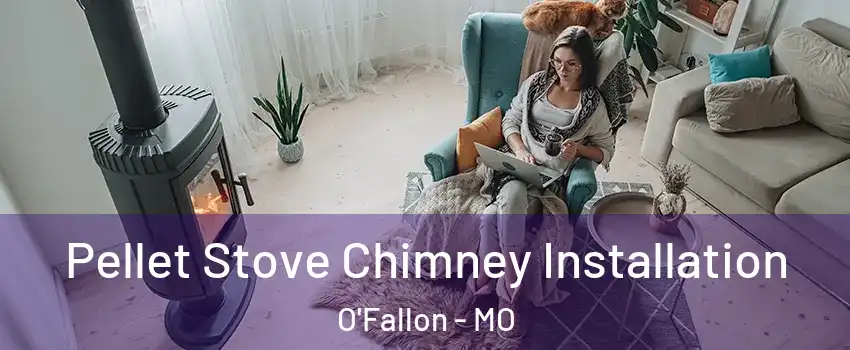 Pellet Stove Chimney Installation O'Fallon - MO