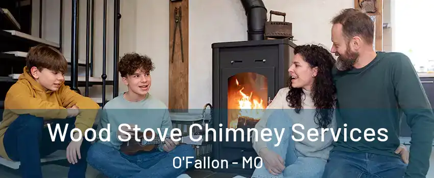  Wood Stove Chimney Services O'Fallon - MO